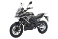 BARTONtravelGold1.png