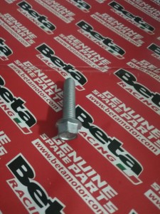Śruba dekla magneta Beta BETA RR 250/300 2T 2013-2021 OEM 11.50010.000