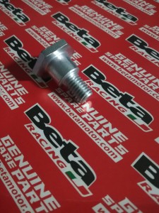 ŚRUBA NAPINACZA ŁAŃCUCHA BETA TRIAL EVO 125/200/250/290/300 2T/4T 2009-2021 OEM 007.33.056.00.00