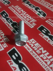 ŚRUBA ZATYCZKI OŚKI WAHACZA BETA RR 125/200/250/300 2T -RR 4T 350/390/400/430/450/480/498/520 XTRAINER 250/300 2010-2021 OEM 1146401000