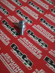 ŚRUBA BOCZNEJ STOPKI BETA RR 125/200/250/300 2T/4T 2010-2021 OEM 1166615000