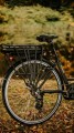 ABEL 3.jpg